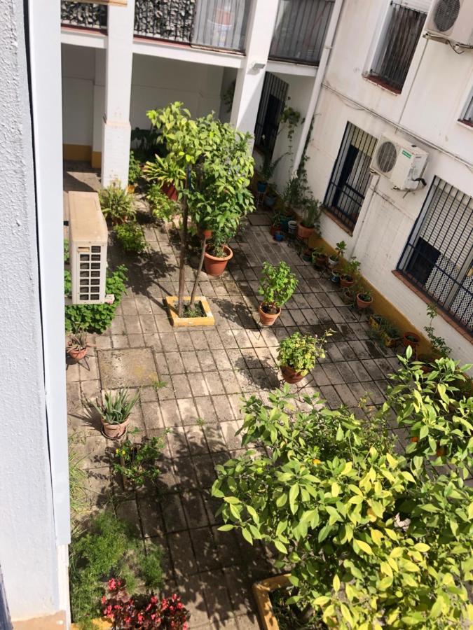 Apartamento Plaza Santa Lucia Renovado Febrero 2025 Sewilla Zewnętrze zdjęcie